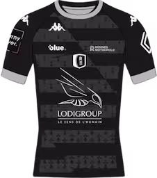 Rec rugby Rennesavif