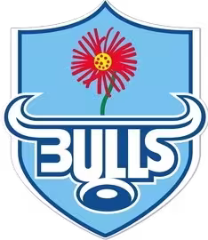bulls 14