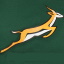 Springboks